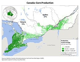 images\CA\cropprod\Canada_Corn_preview.png